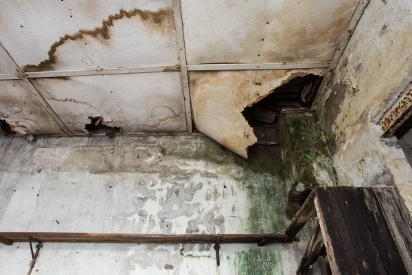 Cost of Water Damage Service in Glendale