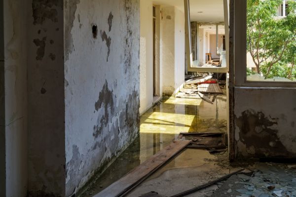 Cost of Water Removal Service in Glendale